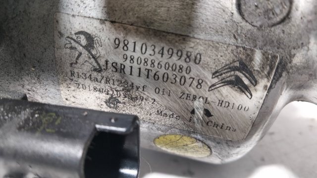 9808860080 Peugeot/Citroen
