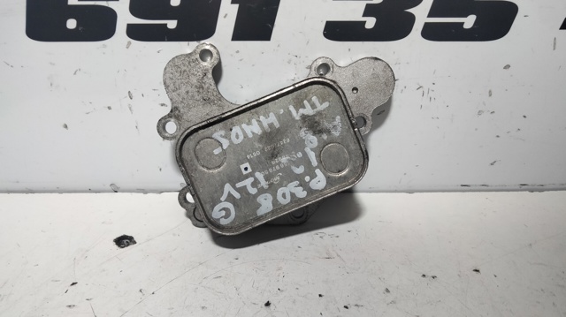 9815697880 Peugeot/Citroen