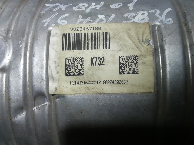 9823467180 Peugeot/Citroen
