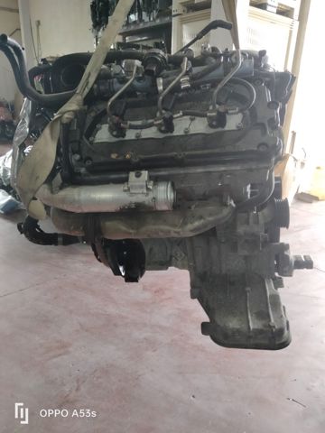 BPP VAG