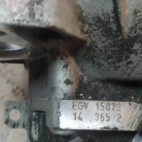 EGV VAG