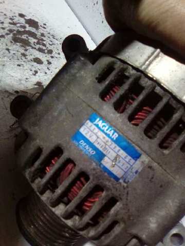 XR8310300CC Jaguar