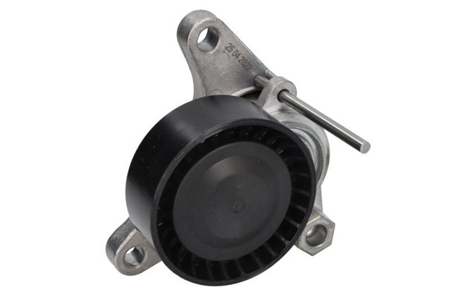 534055210 INA Tensor de correa, correa poli V  comprar en Jaén