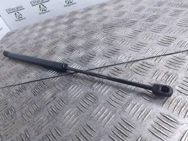 Amortiguador maletero para Audi A6 4FH
