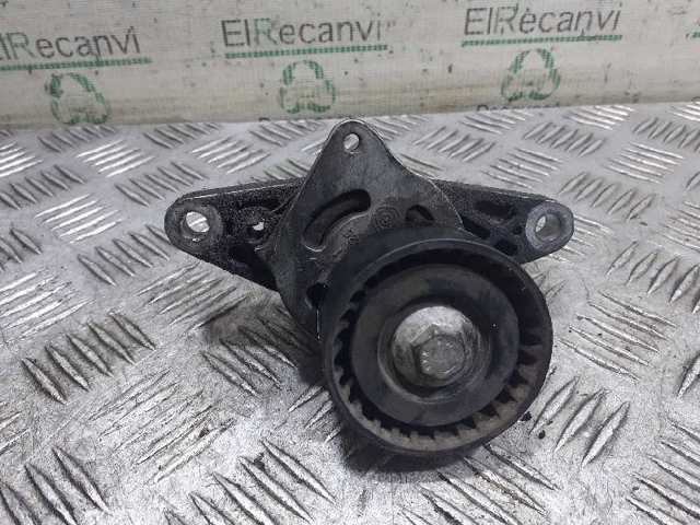 Tensor de correa auxiliar Peugeot 206  (1998-2008)