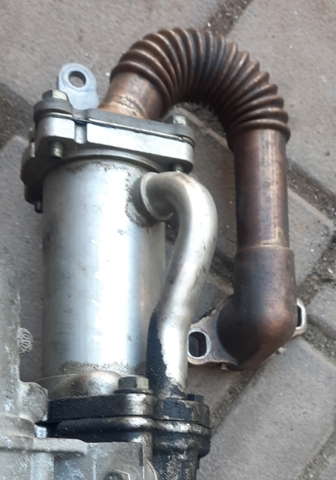 RENAULT 147350718R Manguera Radiador EGR, suministro  disponible Valladolid