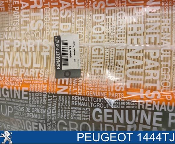 1444TJ Filtro de aire  en stock Sabadell