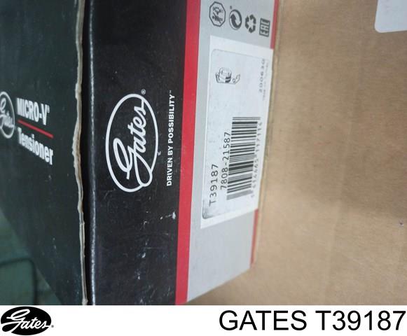 T39187 Tensor de correa poli V  en stock Sabadell