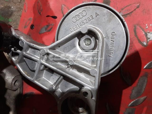 059145283A Tensor de correa poli V comprar Sevilla