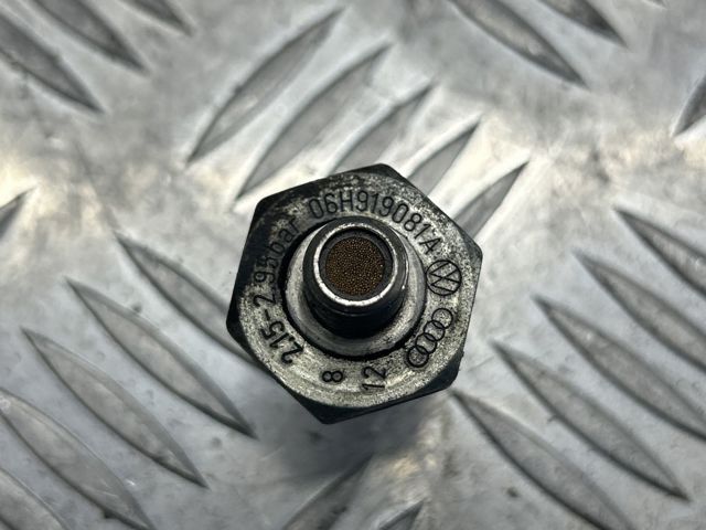 06H919081A Indicador, presión del aceite  comprar en Zaragoza