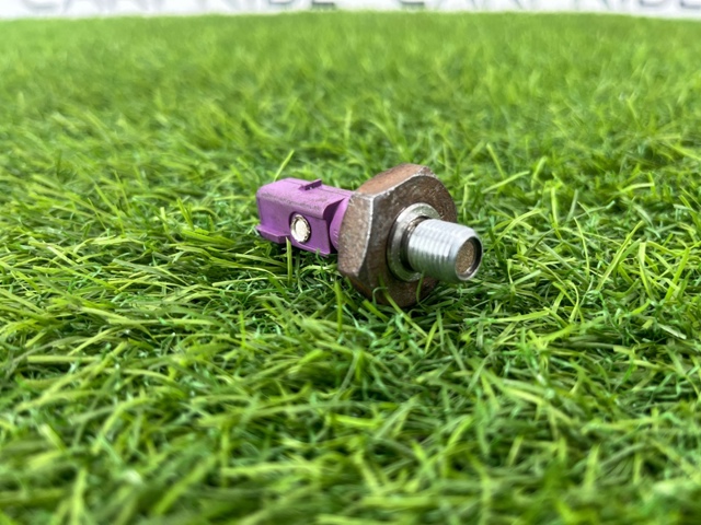 06E919081F VAG Indicador, presión del aceite  disponible Alicante