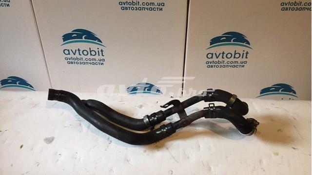254702G000 Manguera del radiador comprar Girona