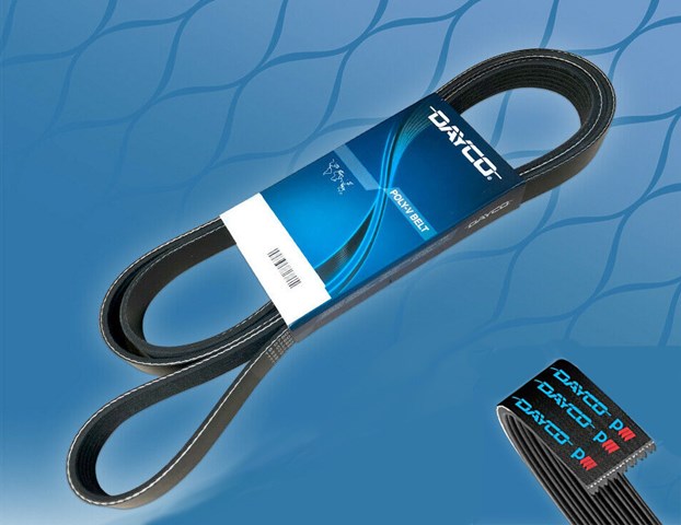 Correa Trapecial Poli V Dayco 6PK1005 | España