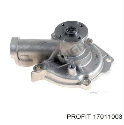 17011003 PROFIT Bomba de agua  disponible Vigo