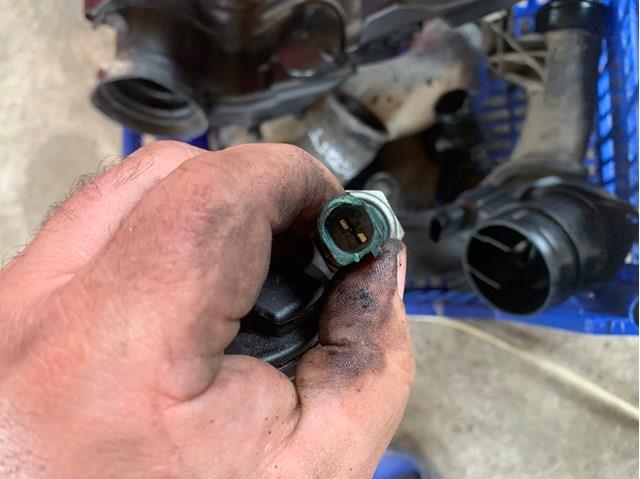 036919081C VAG Indicador, presión del aceite  disponible Ourense