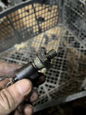 038919081M VAG Indicador, presión del aceite  disponible Ourense