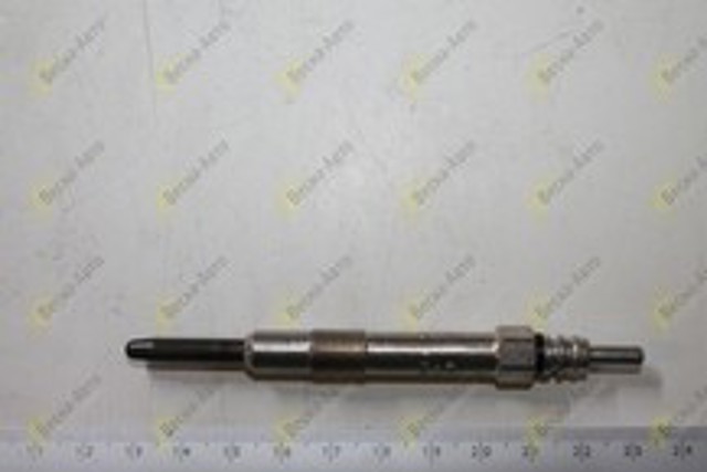 0250202036 Bujía de incandescencia  comprar en Pontevedra