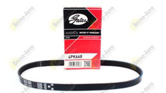 4PK668 GATES Correa trapezoidal  comprar en Lleida