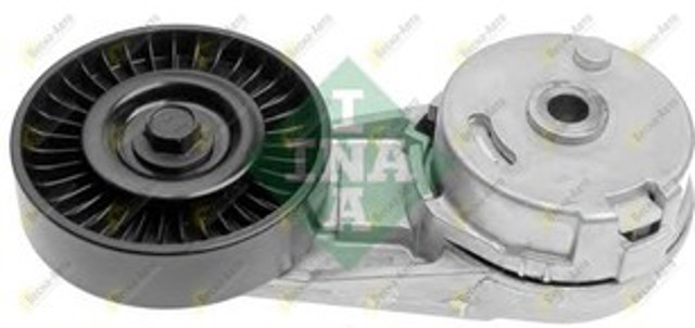 INA 534012430 Tensor de correa poli V  en stock Valencia