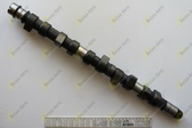 AE CAM442 Árboles de levas  en stock Terrassa