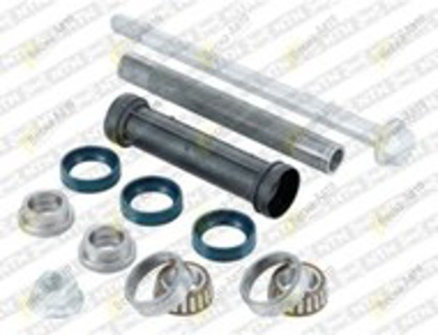 SNR KS56605 Juego de suspensiones, brazo oscilante trasero  disponible España