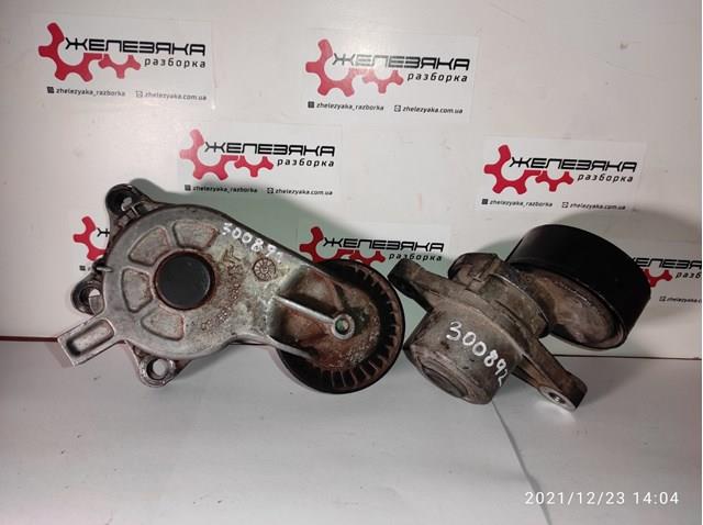 9801875280 PEUGEOT Tensor de correa, correa poli V  comprar en Jaén
