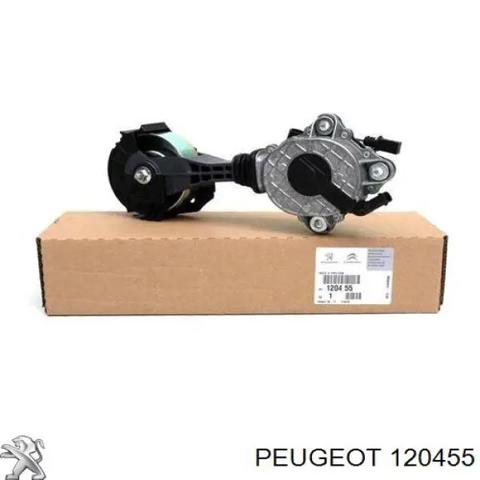 PEUGEOT 120455 Tensor de correa poli V comprar Tarragona