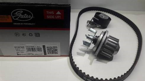 KP15575XS GATES Kit de distribución comprar Alcalá