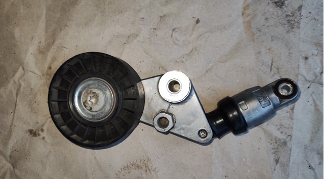 534003310 INA Tensor de correa, correa poli V  disponible Alicante