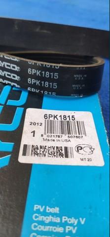 DAYCO 6PK1815 Correa trapezoidal  disponible España