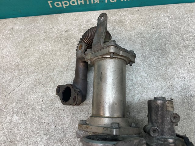 RENAULT 147350718R Manguera Radiador EGR, suministro  disponible España