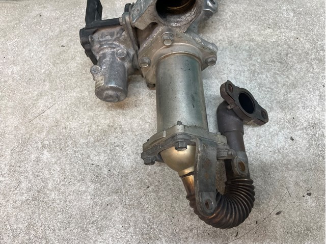 147350718R RENAULT Manguera Radiador EGR, suministro comprar Alcalá