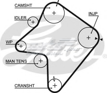 5354XS Correa distribucion  disponible Burgos
