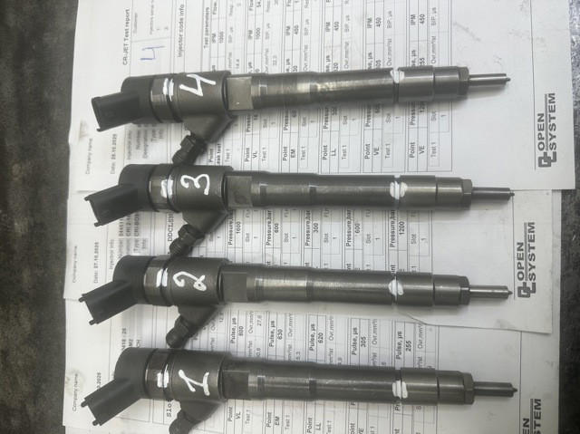 PEUGEOT 0445110418 Inyector de combustible  comprar en Ponferrada