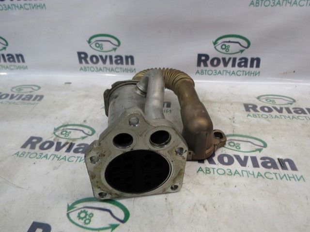 147350718R RENAULT Manguera Radiador EGR, suministro  comprar en Jaén