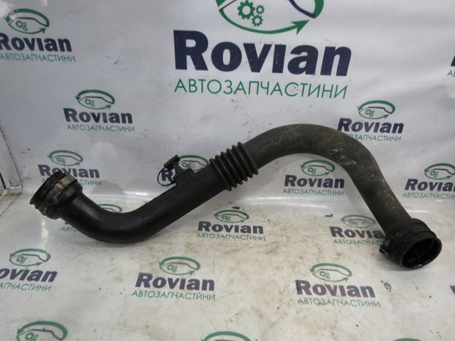 8200201617 RENAULT Tubo flexible de aire de sobrealimentación derecho  comprar en Oviedo