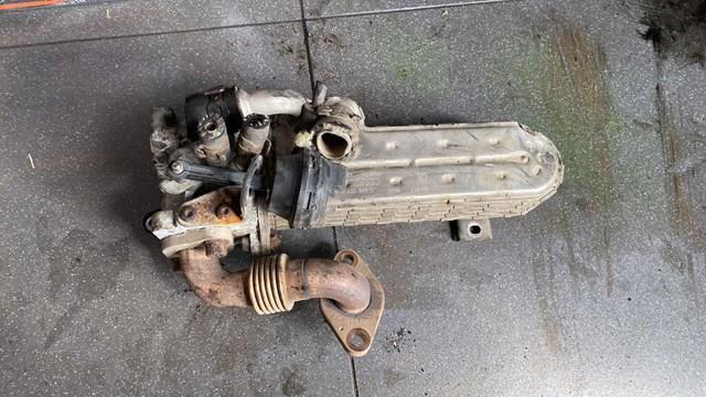 038131513J Enfriador EGR de recirculación de gases de escape  disponible Burgos