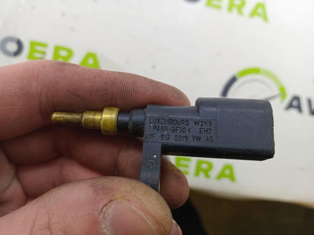 VAG 03F919501B Sensor, temperatura del refrigerante (encendido el ventilador del radiador)  disponible España