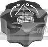 Tapon liquido refrigerante Peugeot 206
