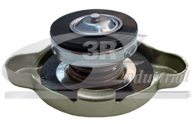 3RG 80909 Tapa radiador  en stock Terrassa