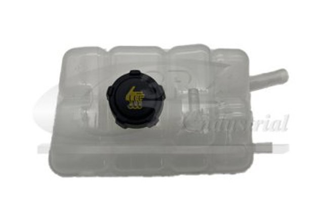 Comprar Depósito de expansión del sistema de refrigeración Renault Scenic IV R9 a bajo precio