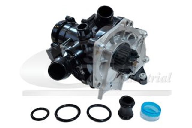 Termostato de agua 86711 3RG