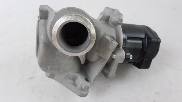 Válvula EGR Citroen Xsara  (2000-2010)