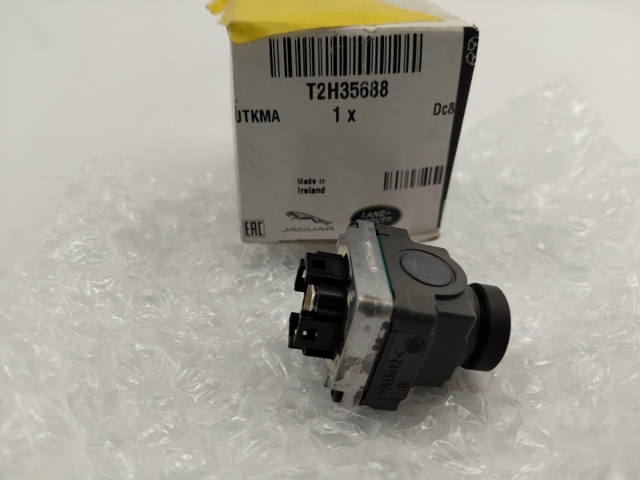 T2H35688 Jaguar