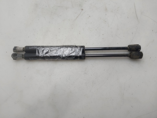 Comprar Amortiguador de puerta trasera FORTWO  450