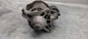 Motor de arranque 0001208516 PEUGEOT