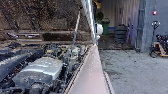 Amortiguador de capó 0009808164 MERCEDES