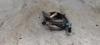 Sonda lambda post catalizador 0258006029 PEUGEOT