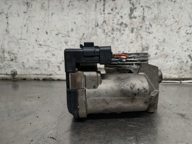 0280750085 Cuerpo de mariposa completo  disponible Burgos