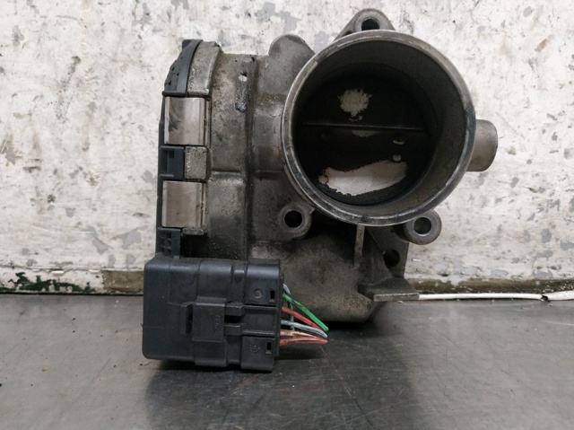 0280750085 Cuerpo de mariposa completo  comprar en Pontevedra